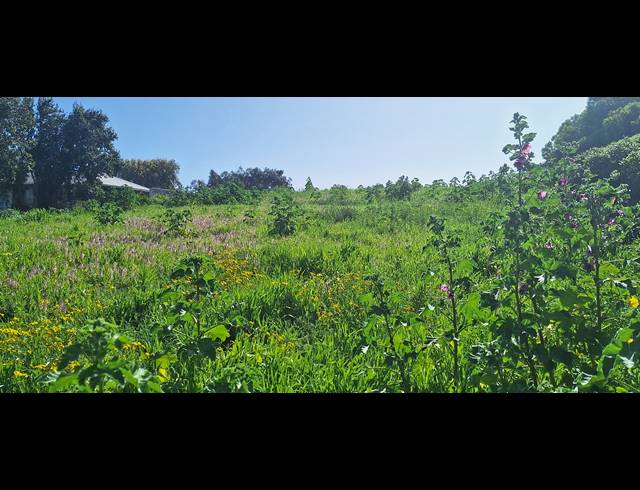 1,745M² VACANT LAND FOR SALE IN PARKERSDORP